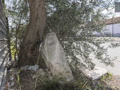 Attraversiamo a questo punto la via perch� sul marciapiede opposto, nascosta dietro un albero di ulivo e sepolta da rifiuti e sterpaglie, troviamo una lastra. E� un menhir, una grossa pietra grezza conficcata nel terreno risalente al periodo Neolitico. Si tratta dell�unico monolite sopravvissuto a Bari citt� che appare per� spezzato, inclinato e danneggiato